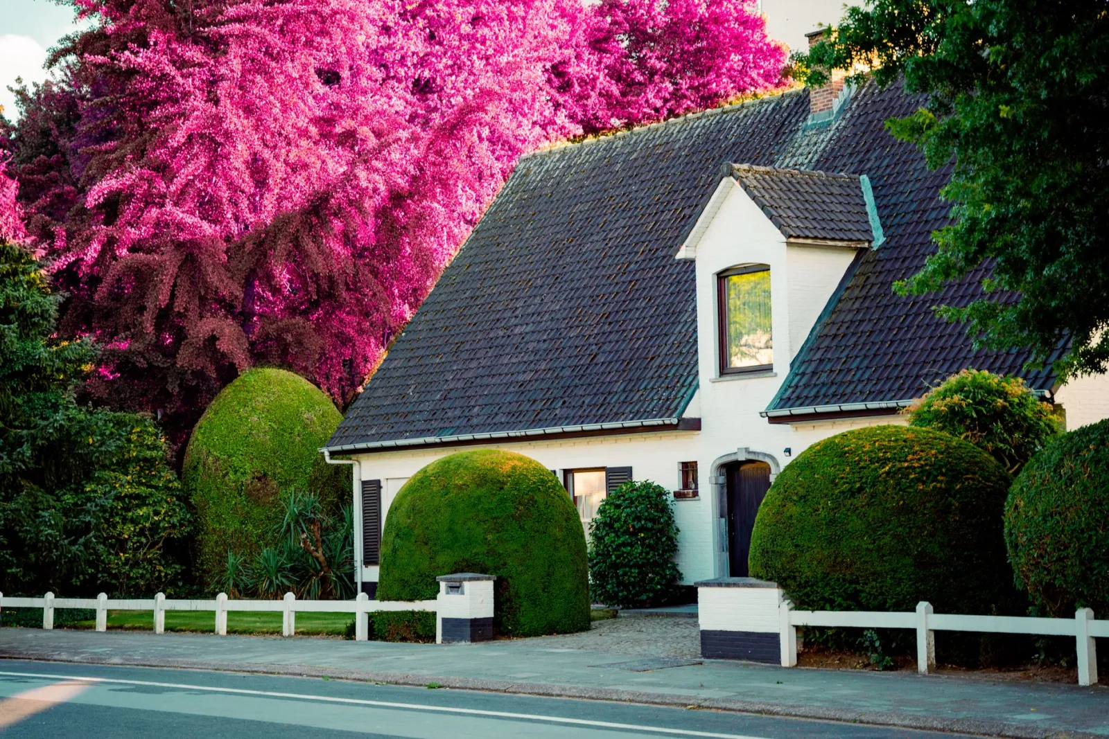 Warmtepomp vrijstaande woning: kosten & valkuilen 2026