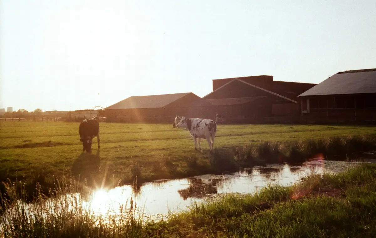 Warmtepomp woonboerderij: kosten & haalbaarheid 2026